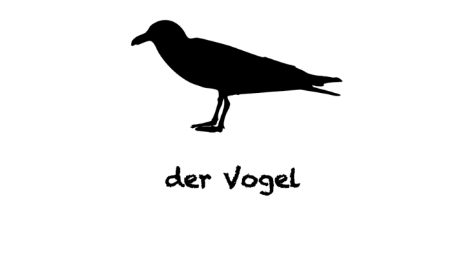 Modo di dire del giorno: “Du hast einen Vogel”