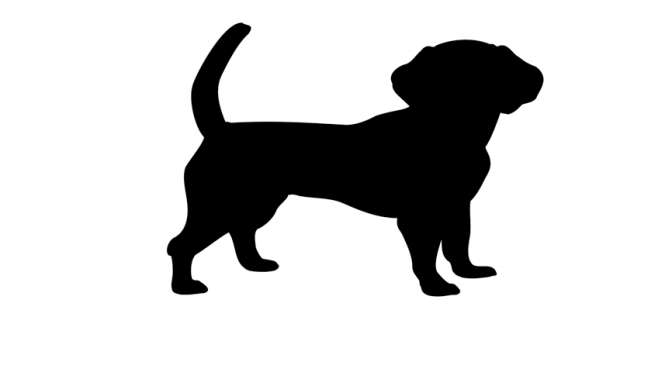 Modo di dire del giorno: Hunde, die…