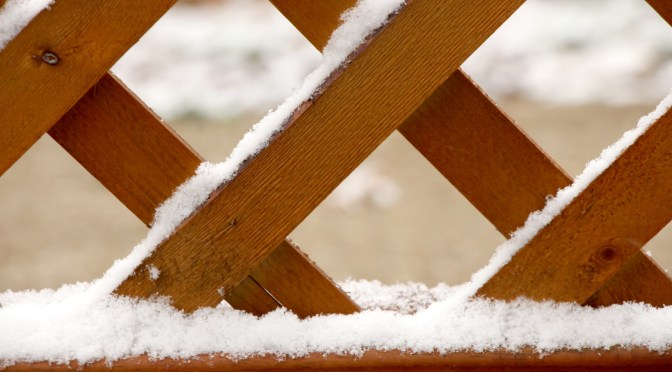 Modo di dire del giorno