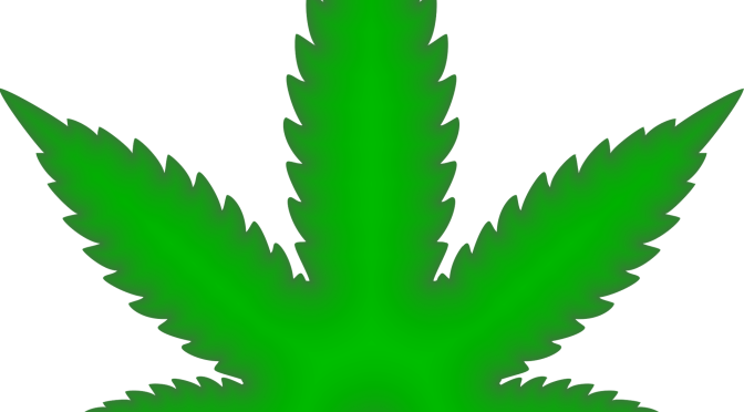 Referendum Cannabis Legale