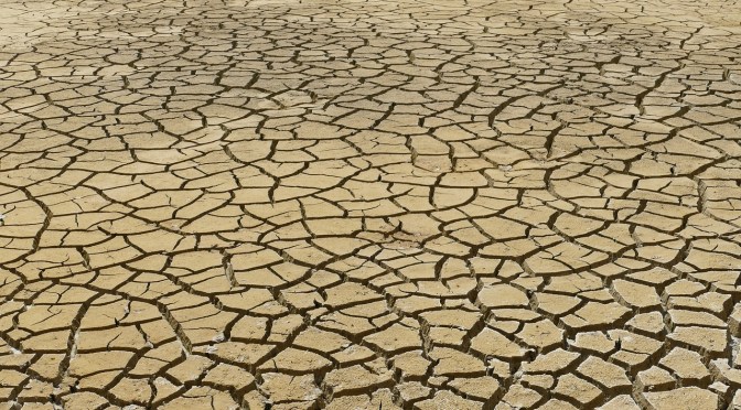 2023 l’anno più caldo