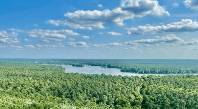 Berlino vista dalla Müggelturm