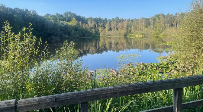 Il Teufelsee di Köpenick: un angolo di pace nel trambusto cittadino