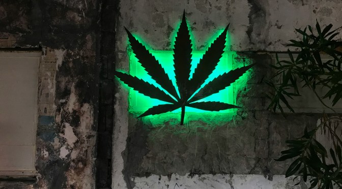 Germania: la riforma sulla cannabis dà i primi frutti – ecco cosa dicono i dati